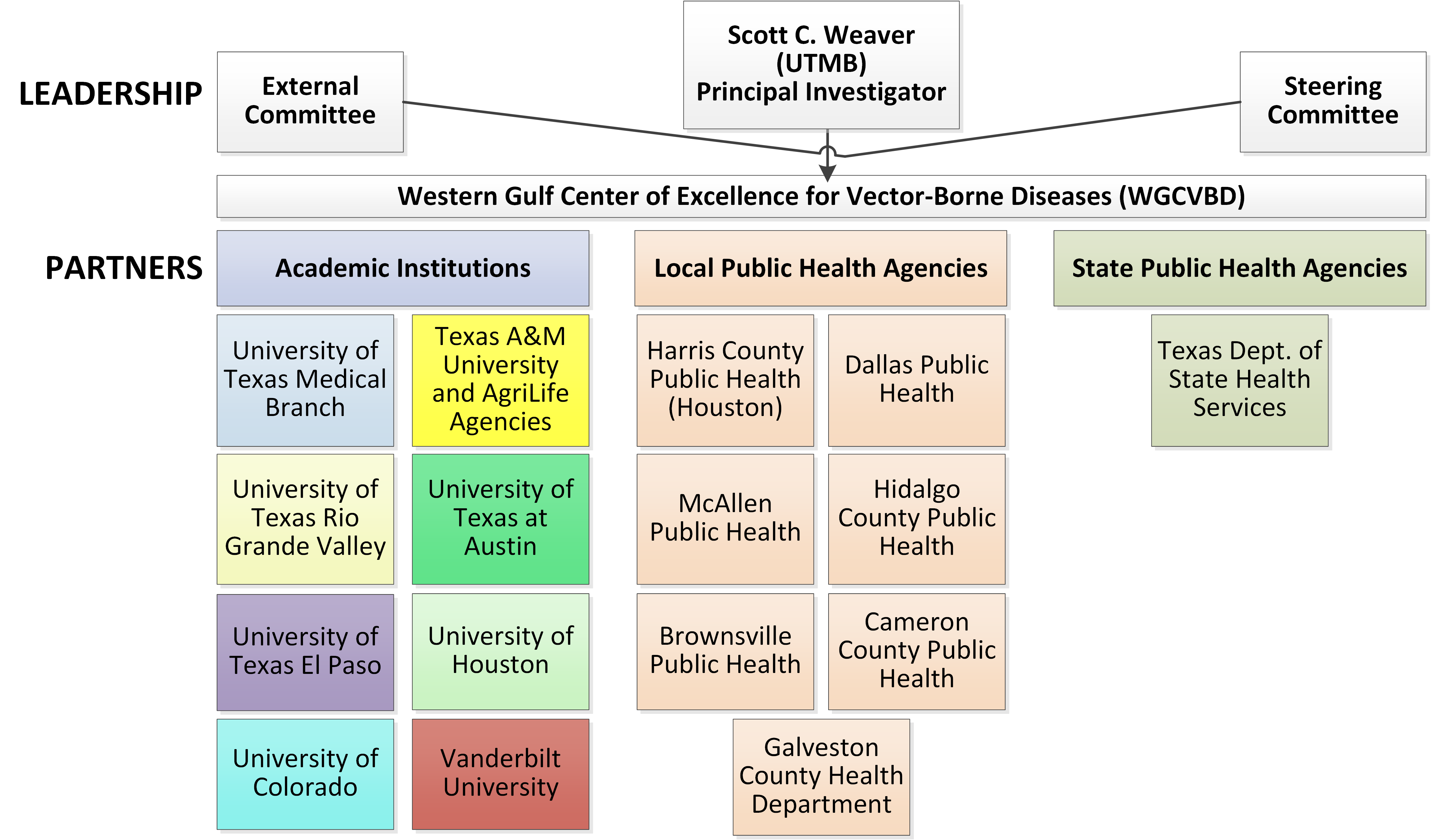 WGCVBD Leaders and Partners