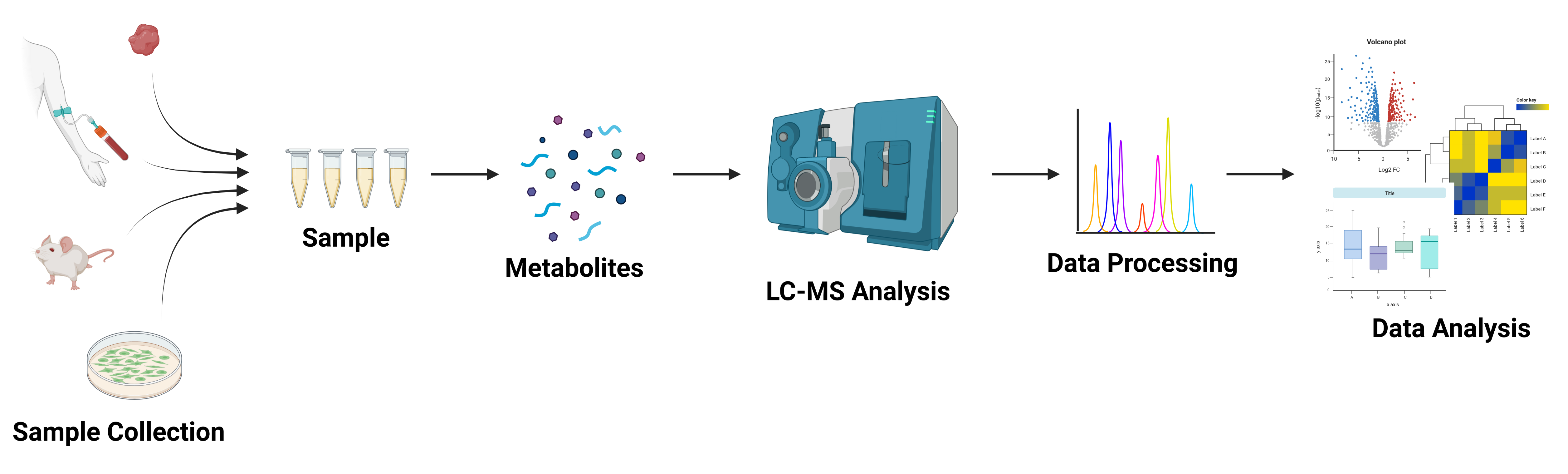 20221010_metabolomic_services_v1