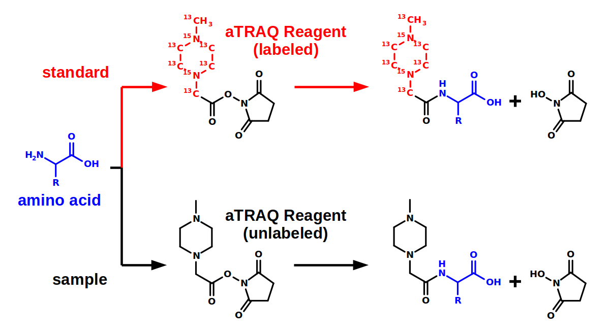 atraq_labeling_figure_2 aTRAQ labeling