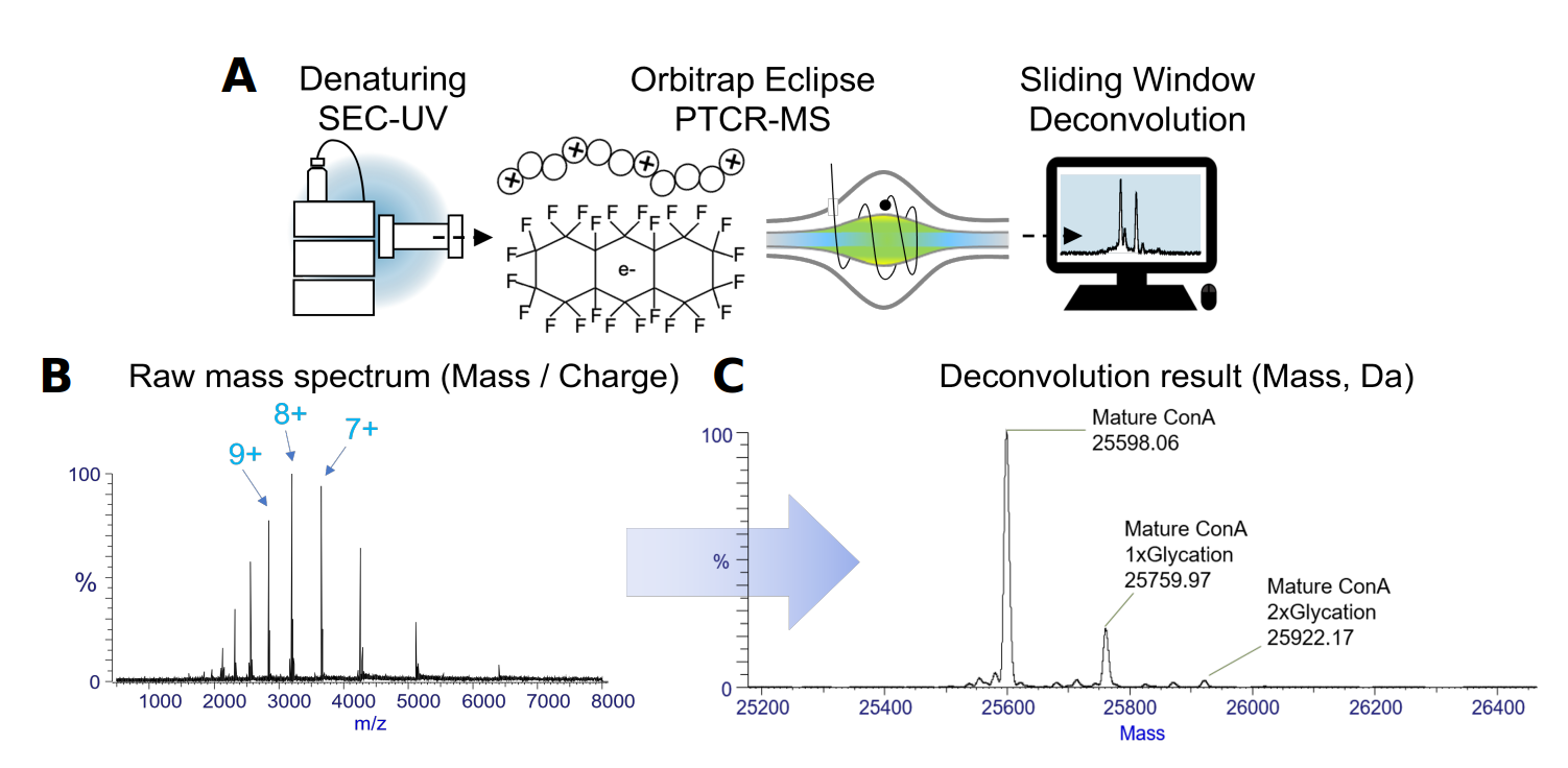 high-dynamic-range-denaturing