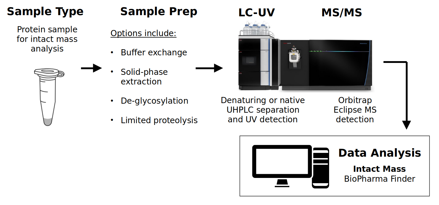 intact-mass-analysis