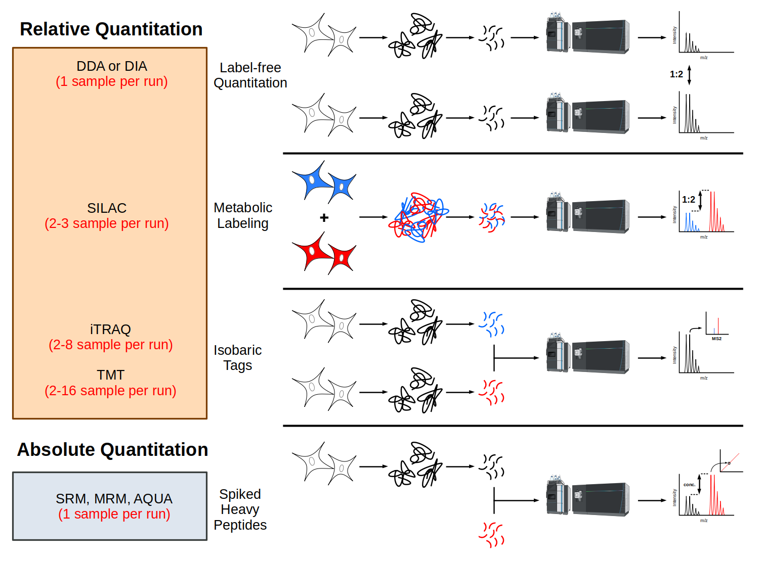 Diagram comparing relative and absolute quantitation methods in proteomics, including label-free, SILAC, iTRAQ, TMT, and targeted quantitation approaches using LC-MS.