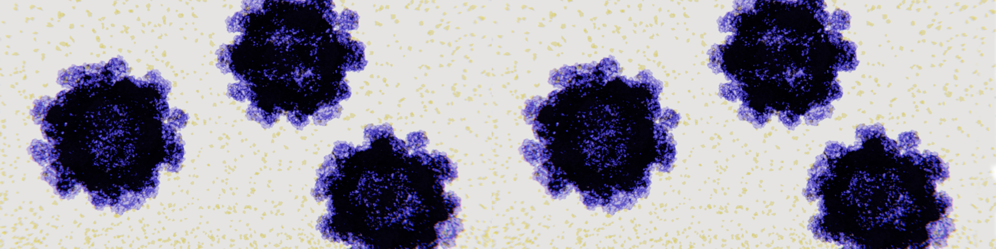 Tom_Smith-sub-header-art