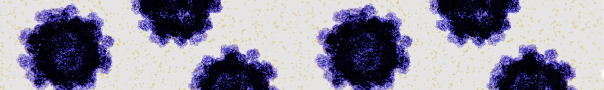 Tom_Smith-sub-header-art Tom_Smith-sub-header-art