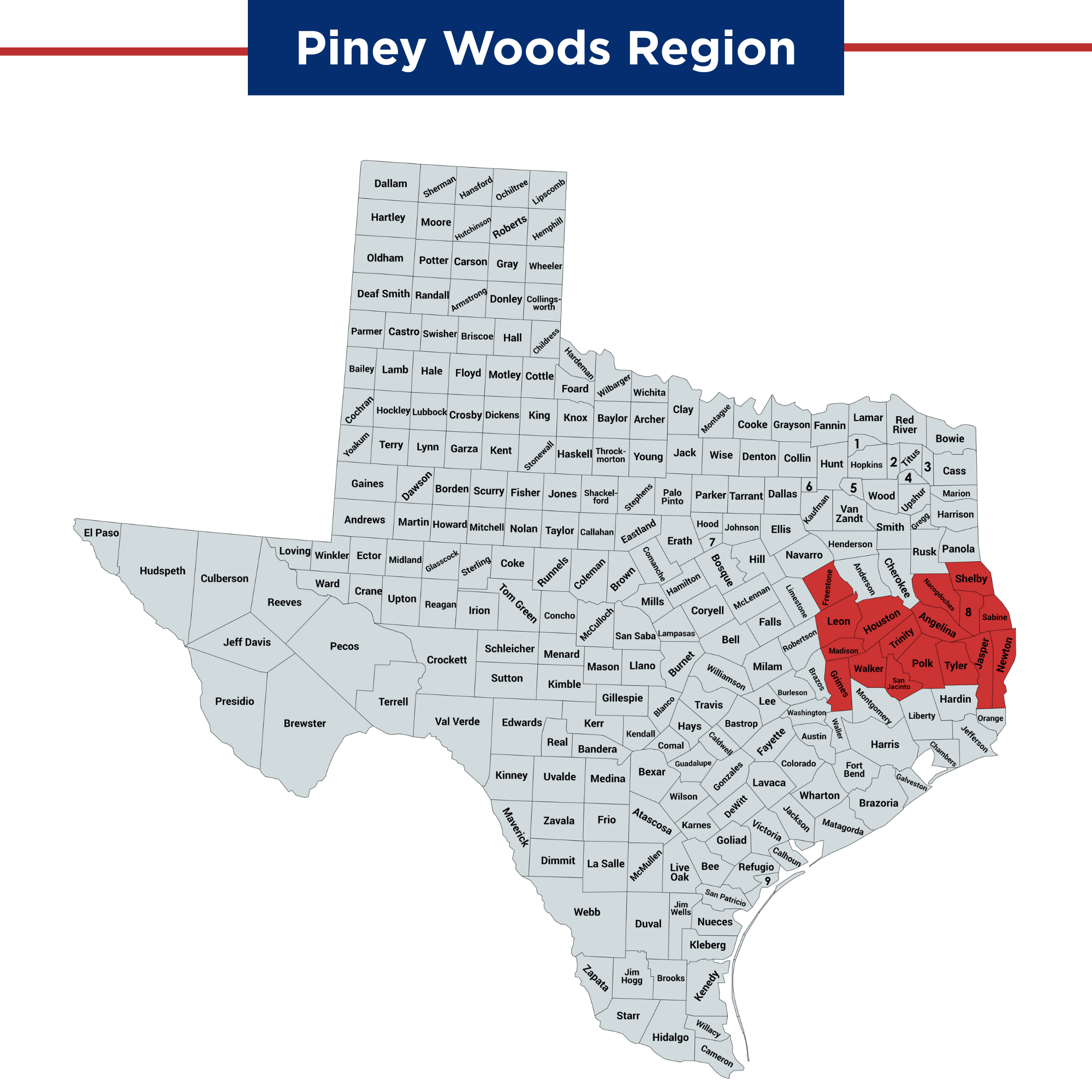 Piney Woods Region