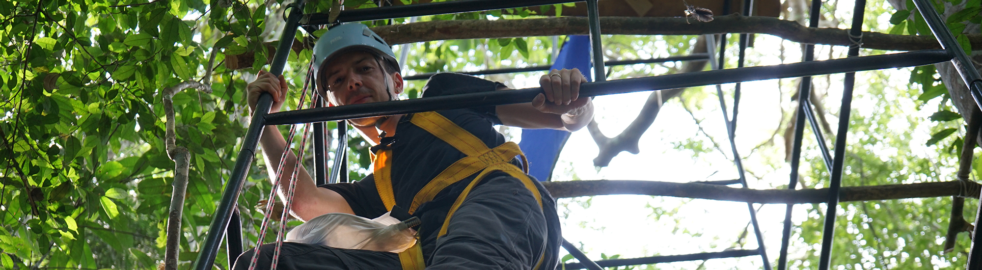 Pantanal - tick collection 2_banner