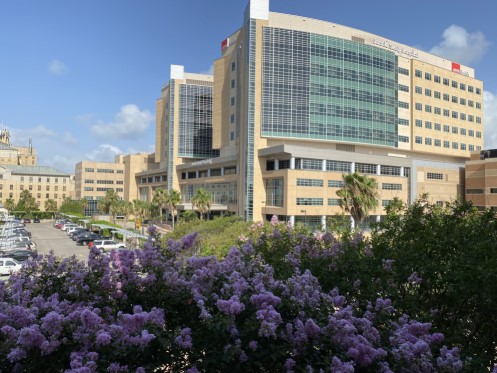 Jennie Sealy Hospital